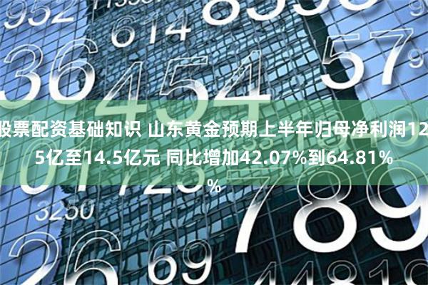 股票配资基础知识 山东黄金预期上半年归母净利润12.5亿至14.5亿元 同比增加42.07%到64.81%