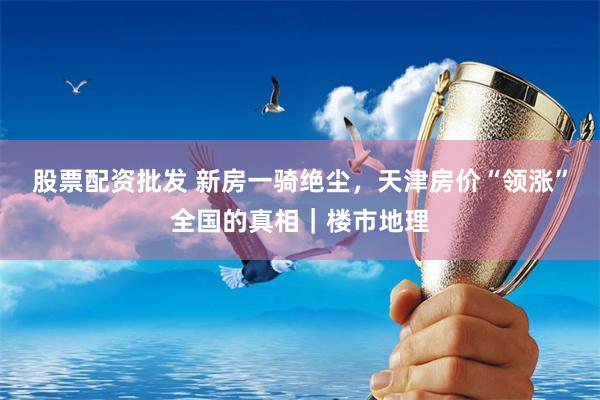 股票配资批发 新房一骑绝尘，天津房价“领涨”全国的真相｜楼市地理