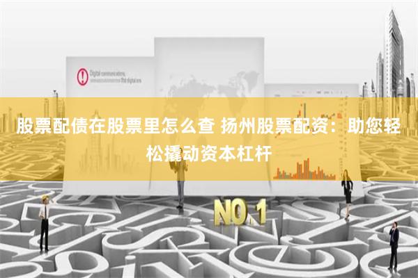 股票配债在股票里怎么查 扬州股票配资：助您轻松撬动资本杠杆